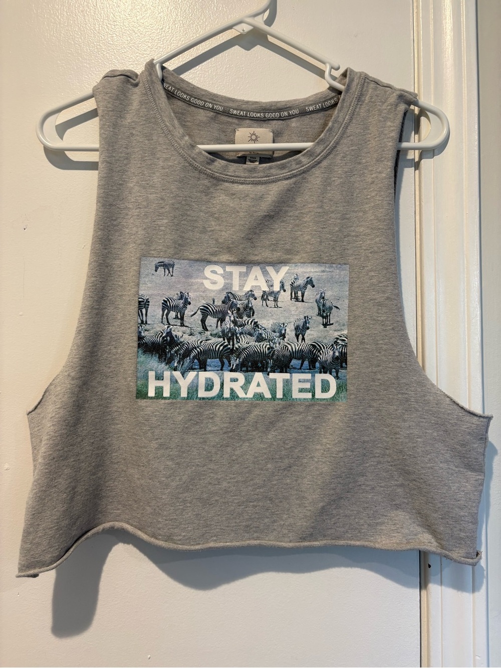 aerie Grey 'Stay Hydrated' Cropped Cut -Off Tank with Zebra Graphic